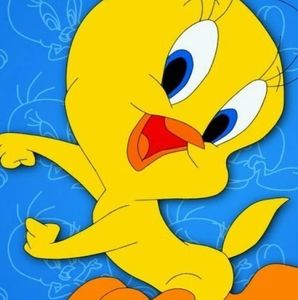 Meet your Posher, Daisy